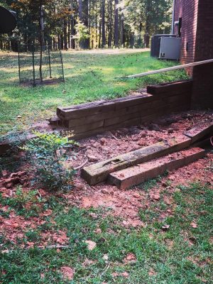 MG Tree Services LLD inside in Peachtree city ,Tree Removal in Peachtree city, Emergency tree removal in peachtree city , Tree trimming in peachtree cityjpeg (13)