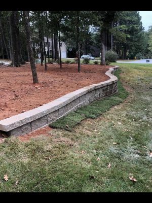 MG Tree Services LLD inside in Peachtree city ,Tree Removal in Peachtree city, Emergency tree removal in peachtree city , Tree trimming in peachtree cityjpeg (14)