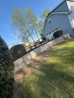 MG Tree Services LLD inside in Peachtree city ,Tree Removal in Peachtree city, Emergency tree removal in peachtree city , Tree trimming in peachtree cityjpeg (20)