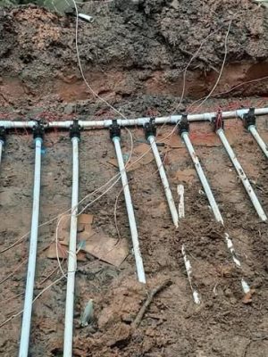 MG Tree Services LLD inside in Peachtree city ,Tree Removal in Peachtree city, Emergency tree removal in peachtree city , Tree trimming in peachtree cityjpeg (18)